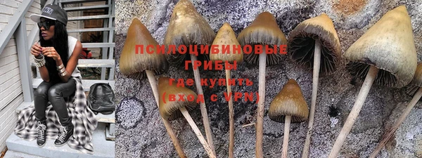 твердый Корсаков