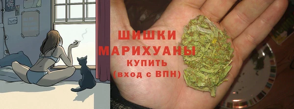 твердый Корсаков