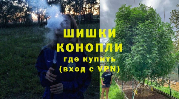 твердый Корсаков